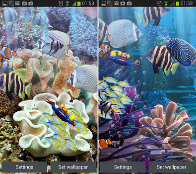 Скриншоты к Настоящий аквариум HD