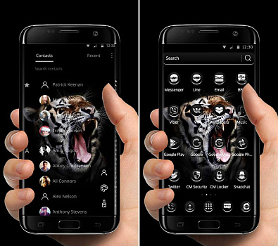 Скриншоты к Тема с черным тигром