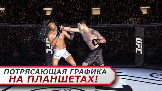 Скриншоты к UFC EA SPORTS